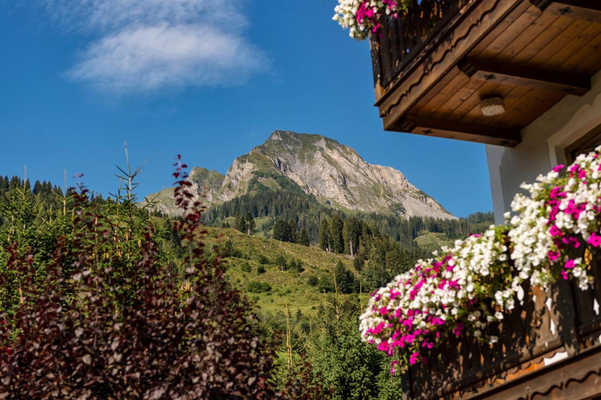 Bauernhofhotel "Die Unterbergerin" - Zimmer Mit Fruehstueck Und Ferienwohnungen In Gastein Mit Gratis Thermeneintritt 多弗加斯坦 外观 照片