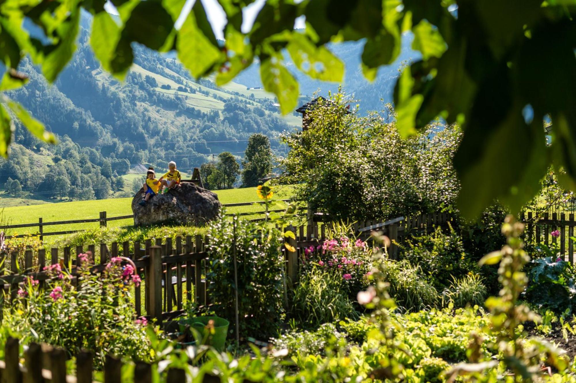 Bauernhofhotel "Die Unterbergerin" - Zimmer Mit Fruehstueck Und Ferienwohnungen In Gastein Mit Gratis Thermeneintritt 多弗加斯坦 外观 照片