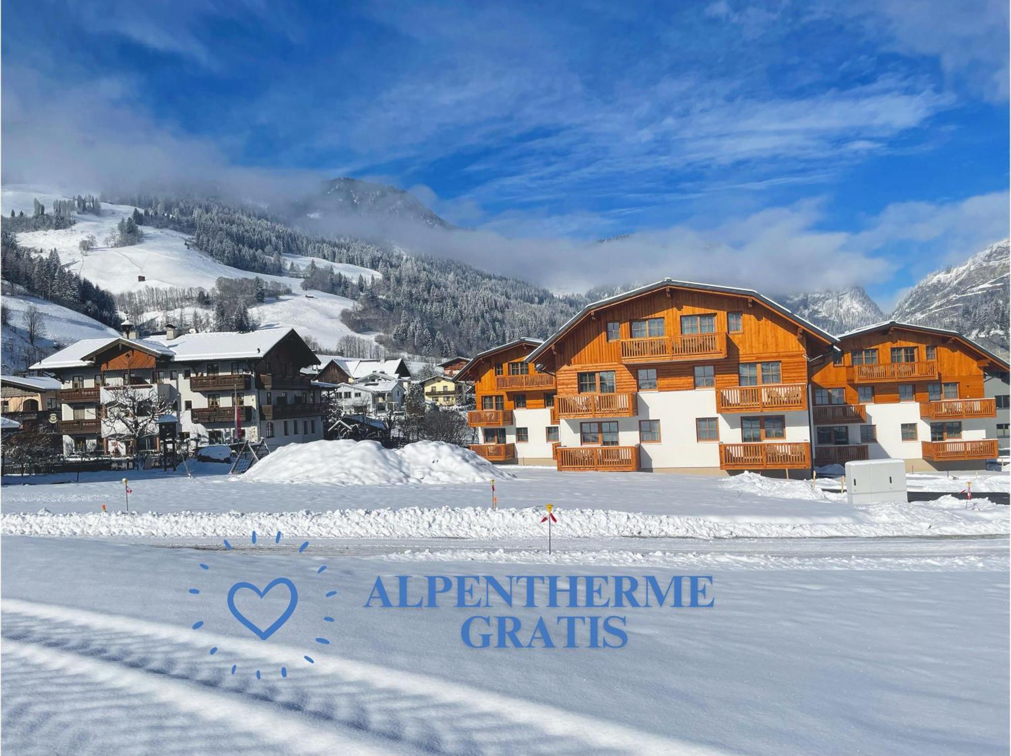 Bauernhofhotel "Die Unterbergerin" - Zimmer Mit Fruehstueck Und Ferienwohnungen In Gastein Mit Gratis Thermeneintritt 多弗加斯坦 外观 照片