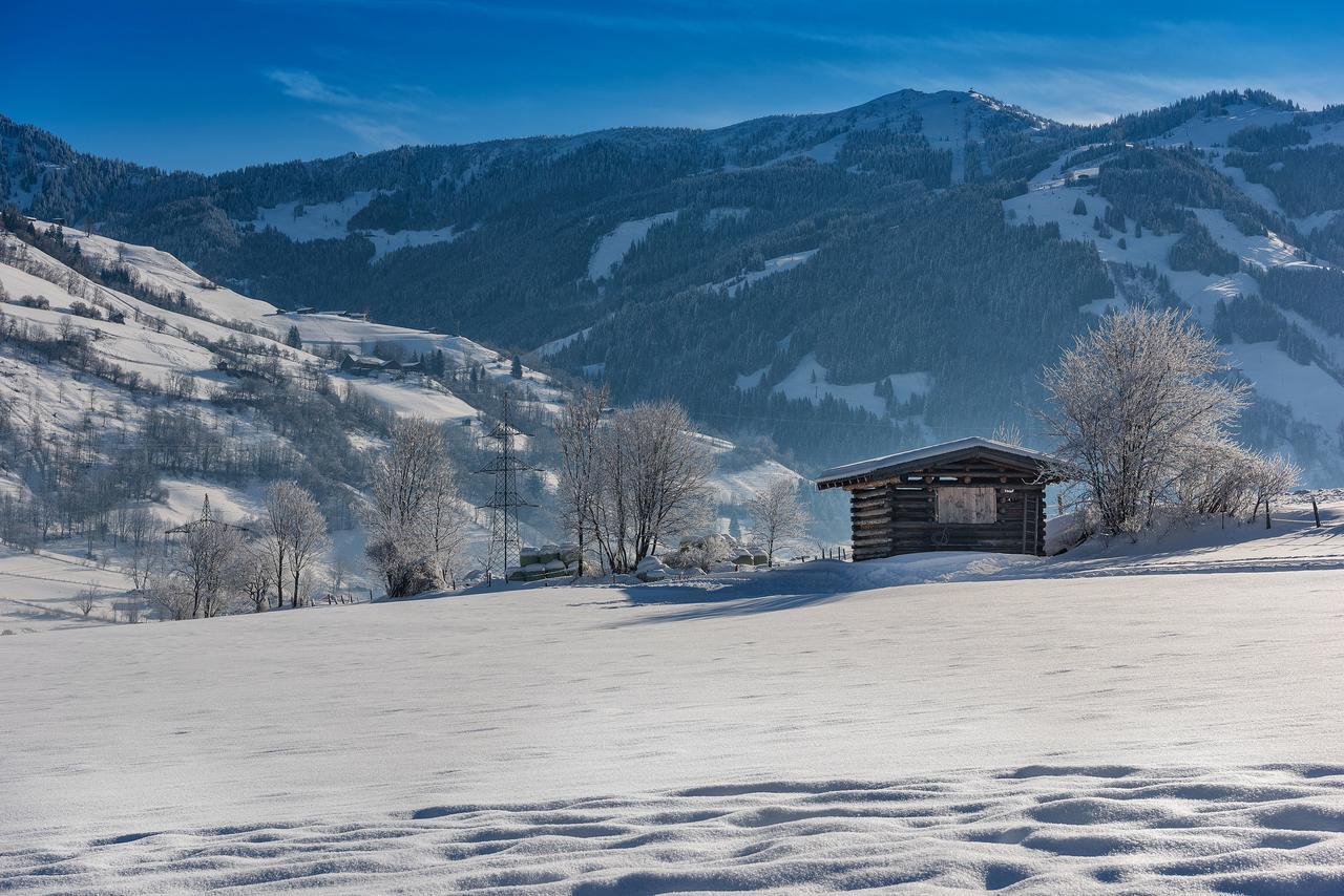 Bauernhofhotel "Die Unterbergerin" - Zimmer Mit Fruehstueck Und Ferienwohnungen In Gastein Mit Gratis Thermeneintritt 多弗加斯坦 外观 照片