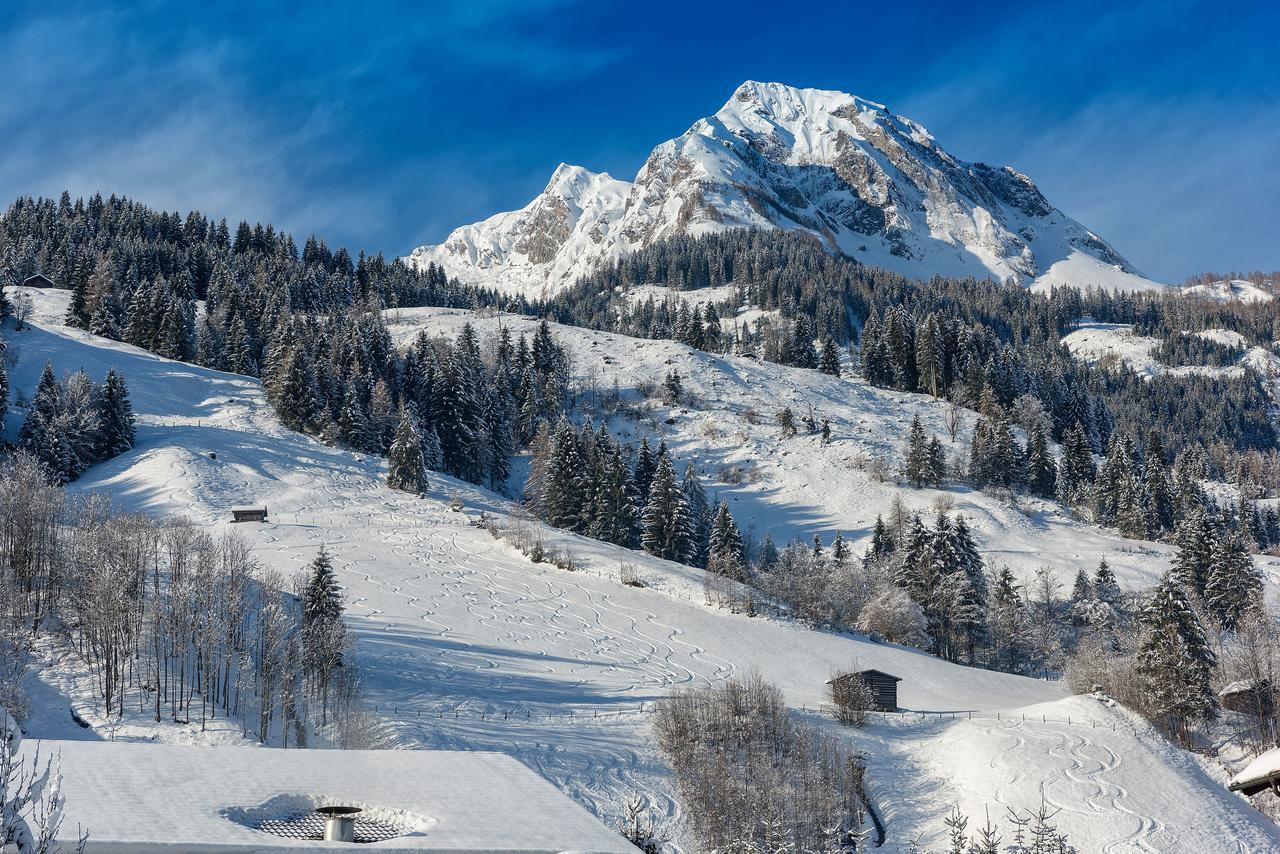 Bauernhofhotel "Die Unterbergerin" - Zimmer Mit Fruehstueck Und Ferienwohnungen In Gastein Mit Gratis Thermeneintritt 多弗加斯坦 外观 照片